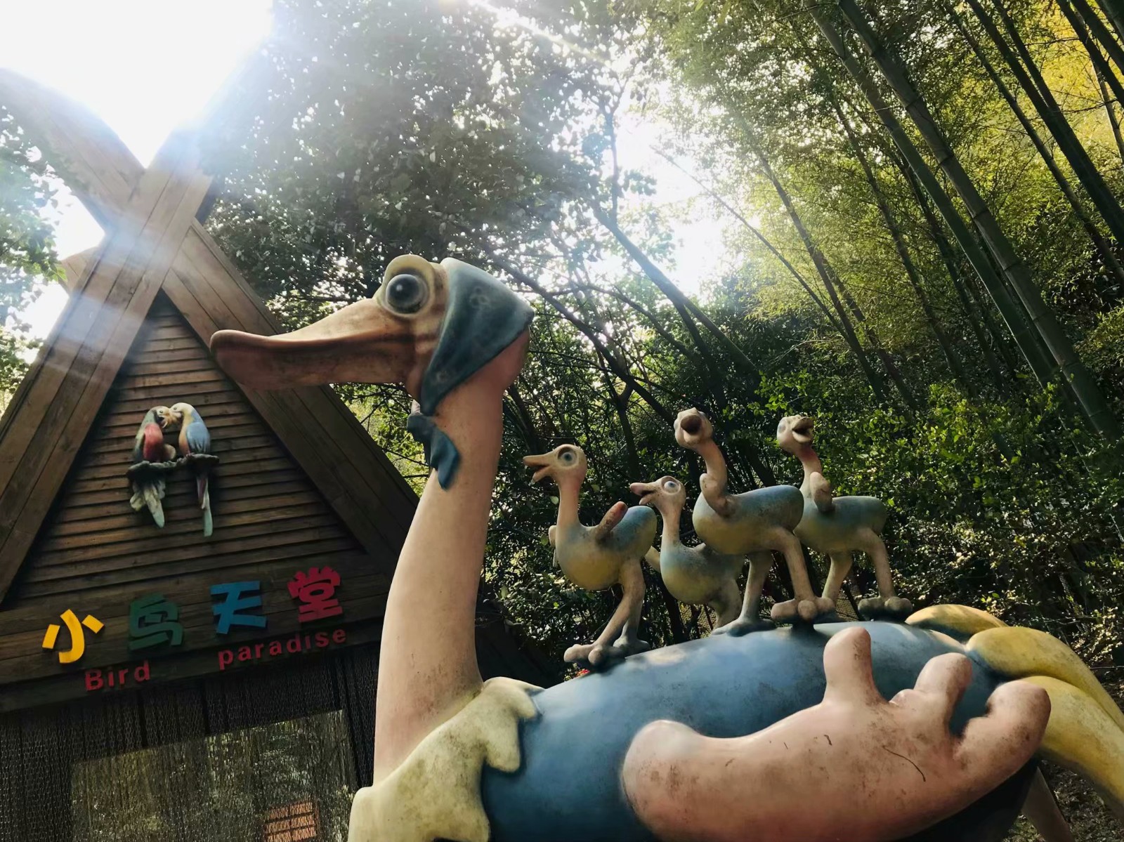 1554184139320738.jpg 1554184139320738.jpg