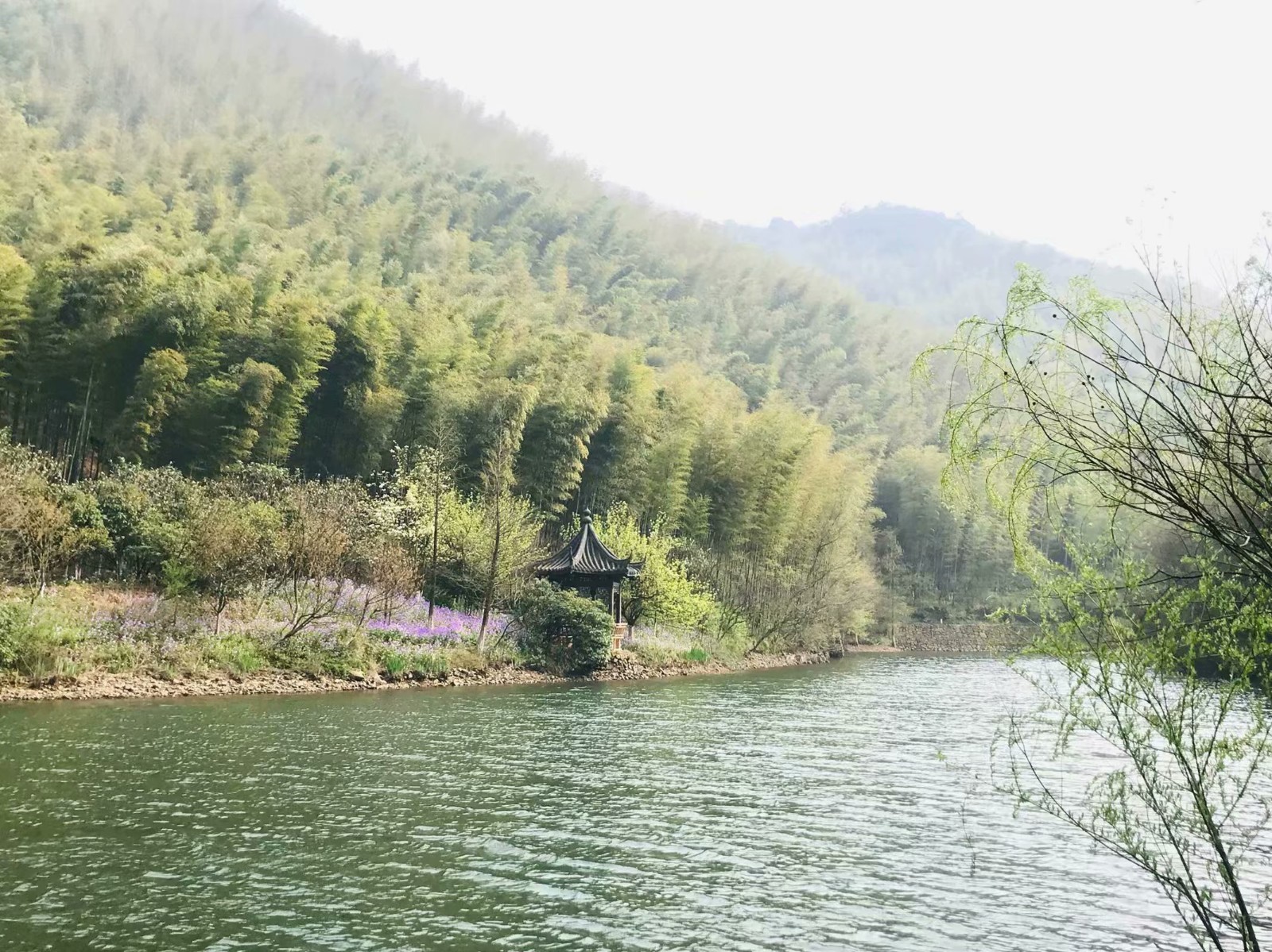 1554184140868918.jpg 1554184140868918.jpg