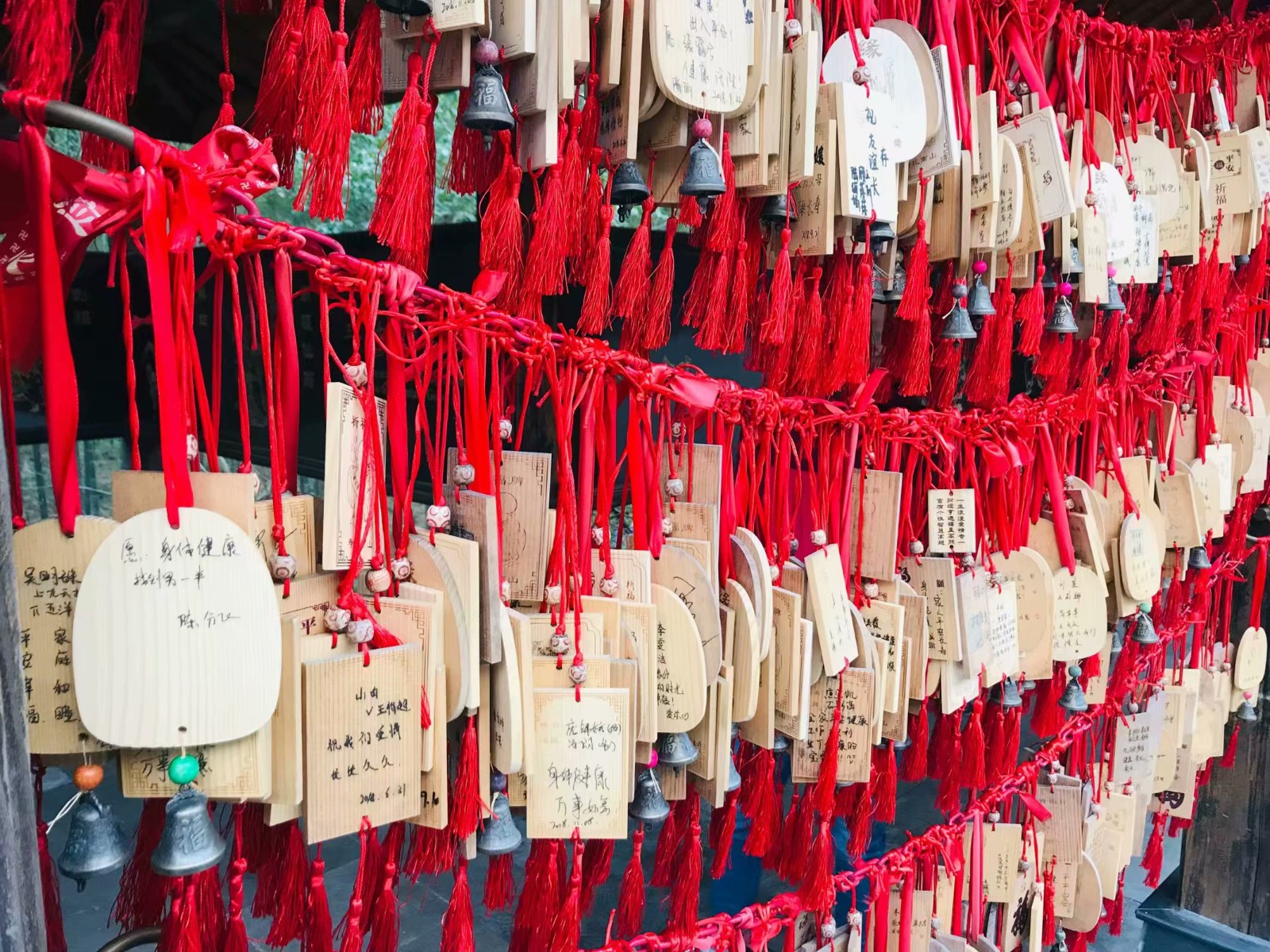 1554184243394947.jpg 1554184243394947.jpg