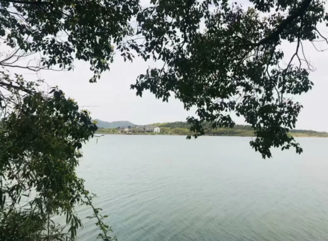 1554184695468347.png 1554184695468347.png