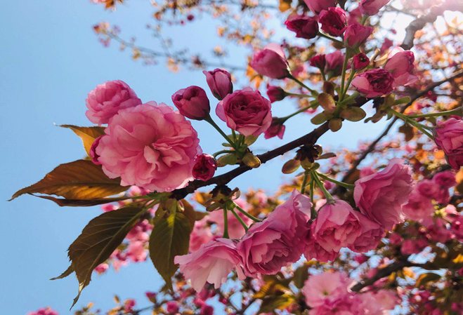 1556069220263676.png 1556069220263676.png