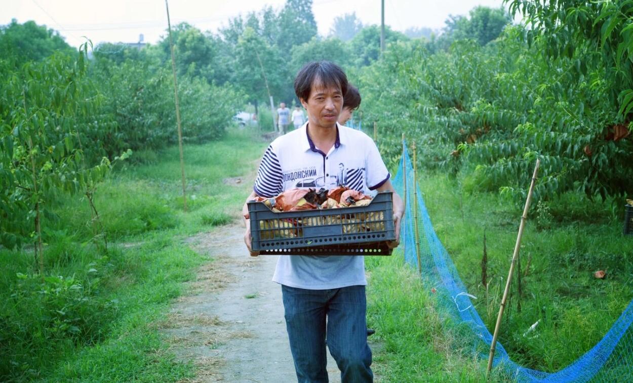 1597374702183653.jpg 1597374702183653.jpg